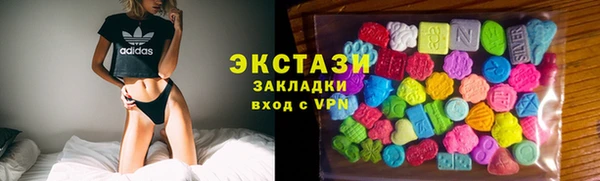 индика Козельск