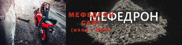 индика Козельск