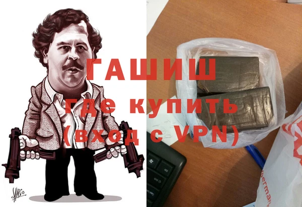 гидра Кодинск