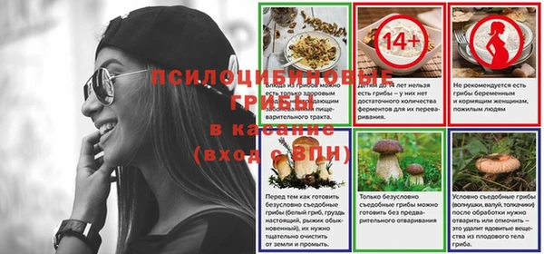 индика Карталы