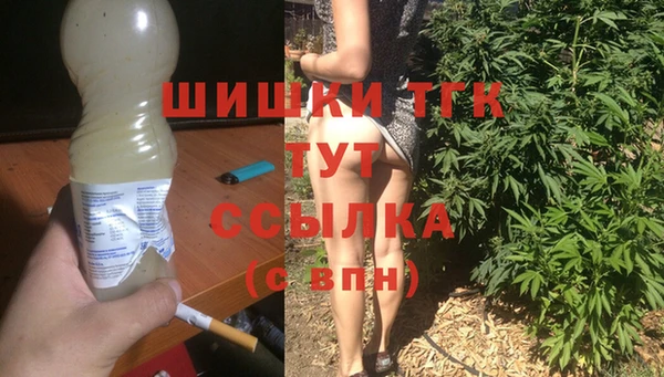 гидра Кодинск