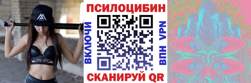 Купить где  Венёв  Галлюциногенные грибы Cubensis 